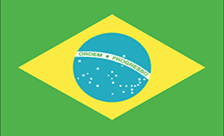 .org.br域名注册,巴西域名