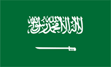 .sa域名注册,沙特阿拉伯域名
