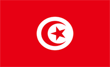 .com.tn域名注册,突尼斯域名