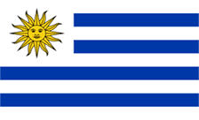 .uy域名注册,乌拉圭域名