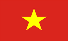 .vn域名注册,越南域名
